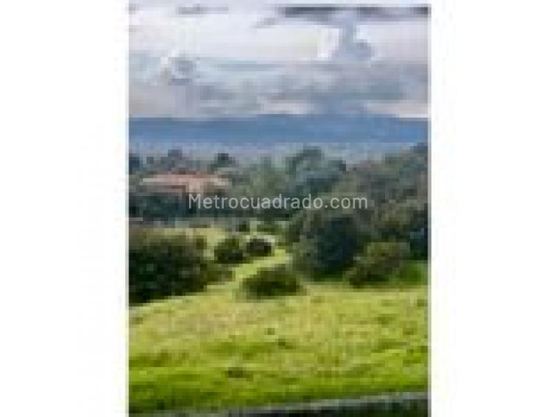 Lote en Venta, Yerbabuena Sopo, Chía - Vista 4
