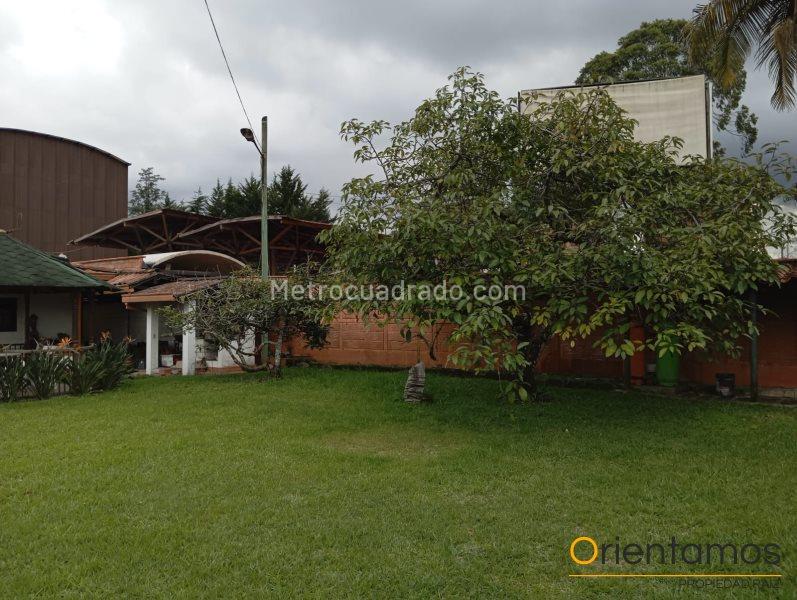 Local Comercial en Arriendo, Llanogrande, Rionegro - Więcej