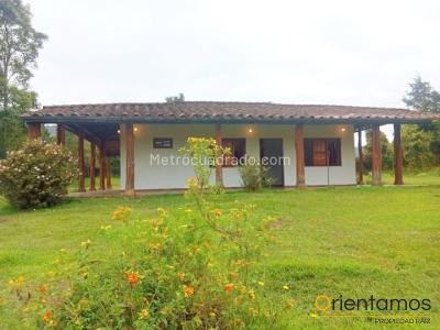 Finca en Arriendo, Rionegro, Rionegro
