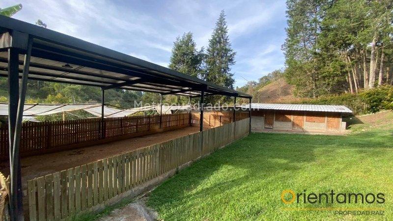 Casa – Rionegro - Vista 4