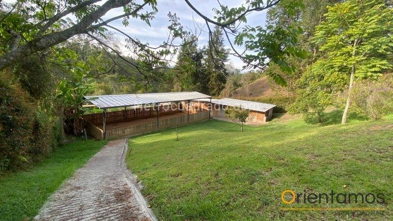 Casa – Rionegro - Más