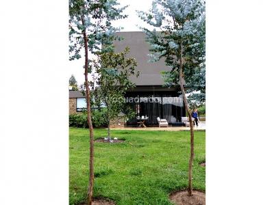 Casa de 4 alcobas en venta en Llano Grande, Rionegro, 800 m² · foto 14 de 15