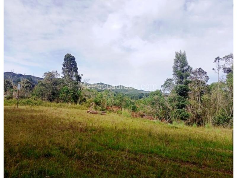Lote en Venta, El Escobero, Envigado - Vista 4