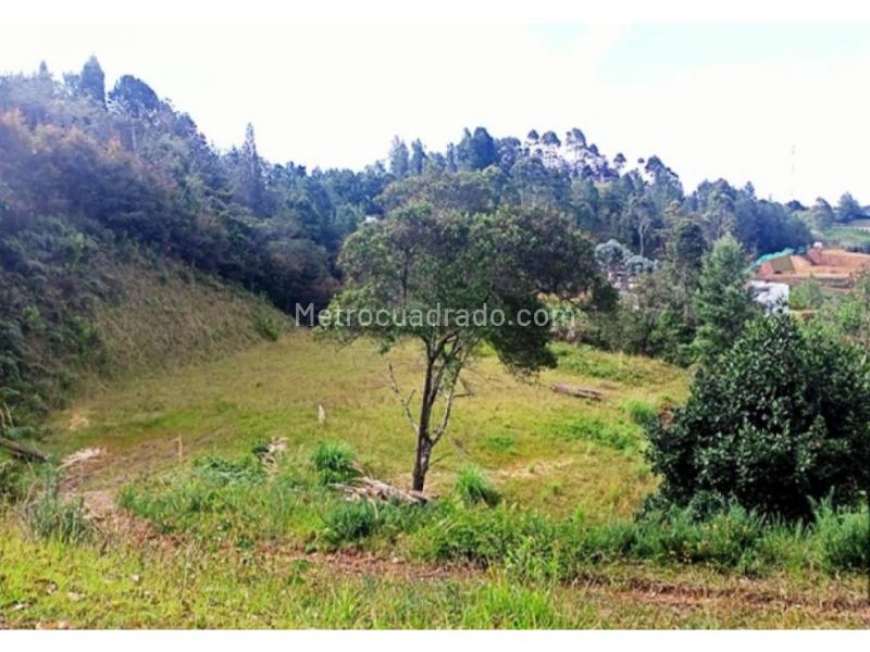 Lote en Venta, El Escobero, Envigado - Vista 5