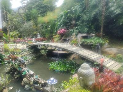 Casa en venta en Las Palmas, Envigado · foto 15 de 20