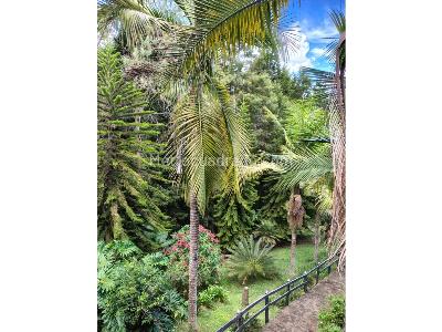 Casa de 5 alcobas en venta en Mampuesto, Rionegro · foto 3 de 20