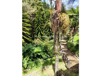 Casa de 5 alcobas en venta en Mampuesto, Rionegro · foto 4 de 20