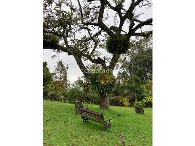 Casa de 4 alcobas en arriendo en Llano Grande, Rionegro, 500 m² · foto 6 de 20