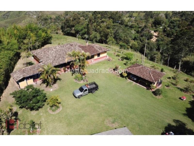 Finca En Arriendo, Las Cruces Vereda El Naranjal