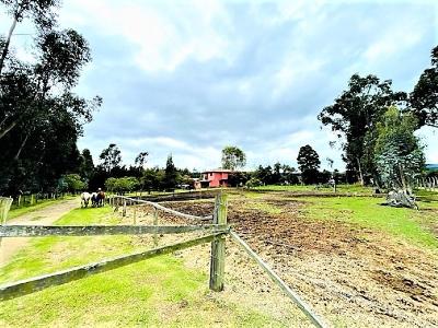 Casa de 3 alcobas en venta en Chia, Chía · foto 15 de 16