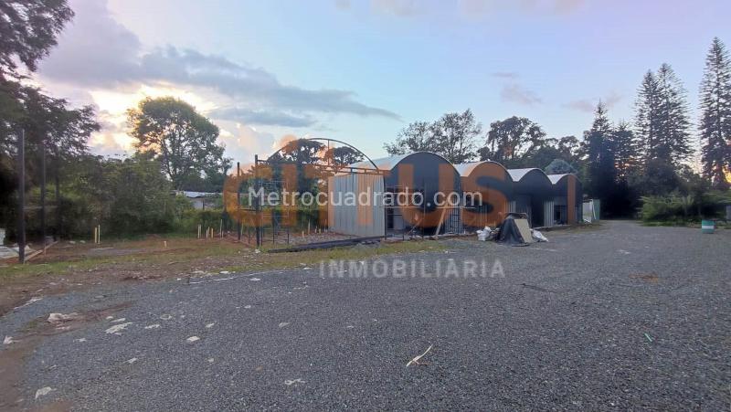 Bodega en Arriendo, Llanogrande, Rionegro - Ansicht 6