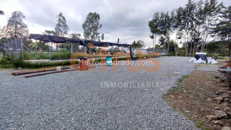 Bodega en Arriendo, Llanogrande, Rionegro - Mehr
