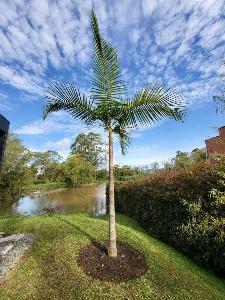 Casa de 3 alcobas en venta en Llanogrande, Rionegro, 540 m² · foto 5 de 20