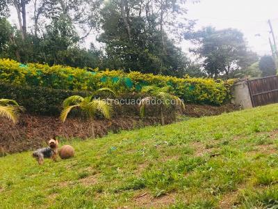 Casa de 4 alcobas en arriendo en Vereda San Jose, Rionegro, 300 m² · foto 17 de 18