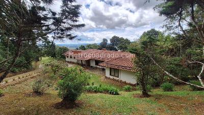 Casa en Arriendo, Alto De Palmas, Envigado