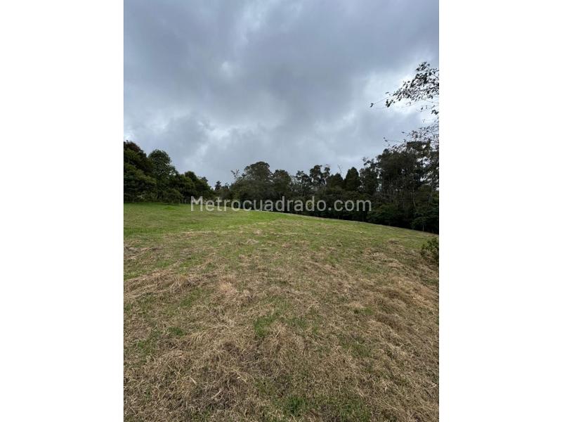 Lote en Venta, Alto De Las Palmas, Envigado - Vista 2