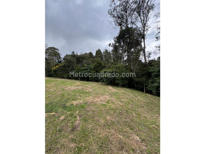 Lote en Venta, Alto De Las Palmas, Envigado - Vista 3