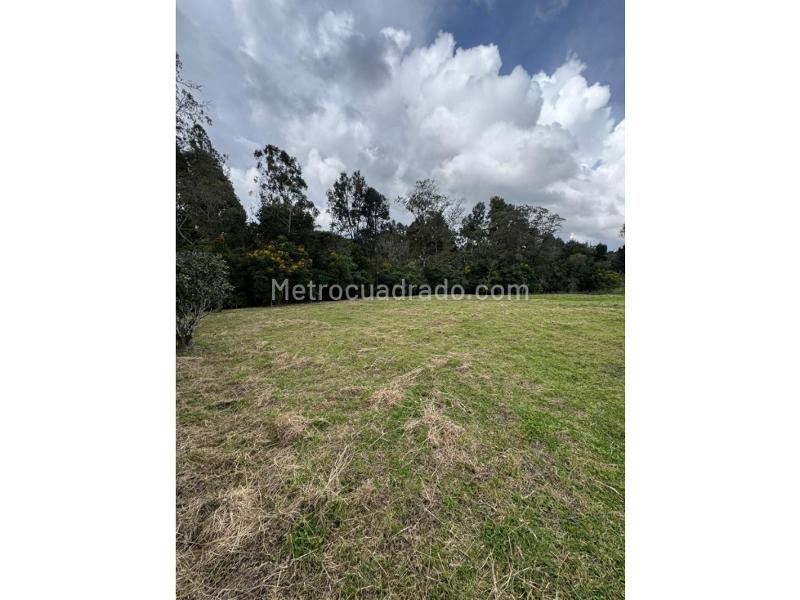 Lote en Venta, Alto De Las Palmas, Envigado - Vista 5