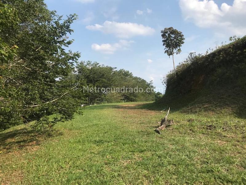 Lote en Venta, Condominio Campestre Verde Horizonte, Jamundi - Más