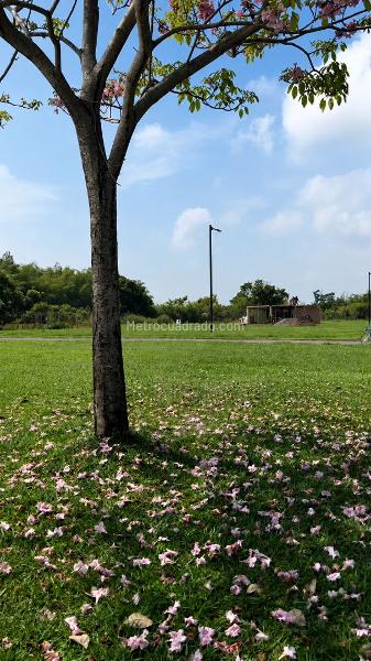 Lote en Venta, EL CANEY, Jamundi - Más