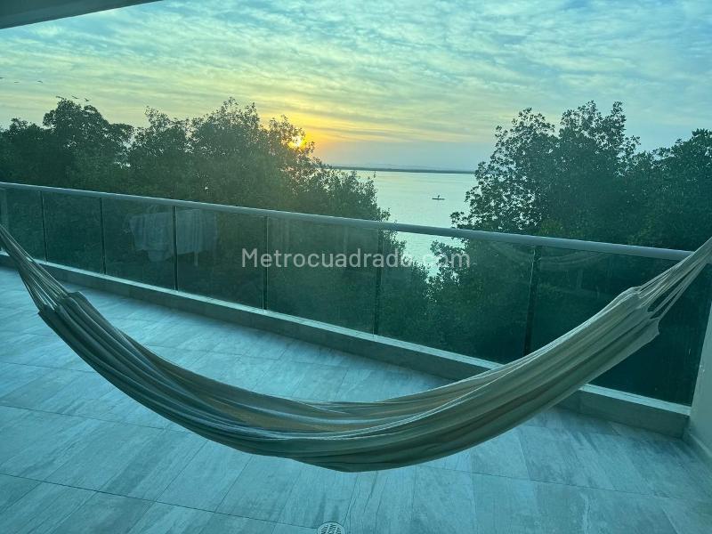Piso – Cartagena de Indias, Dique - Más