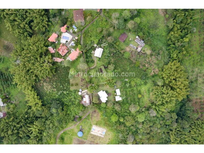 Lote en Venta, Mundo Nuevo, Pereira - Vista 3