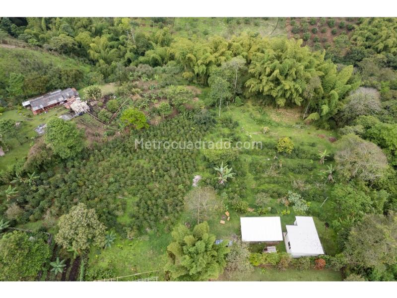 Lote en Venta, Mundo Nuevo, Pereira - Vista 5