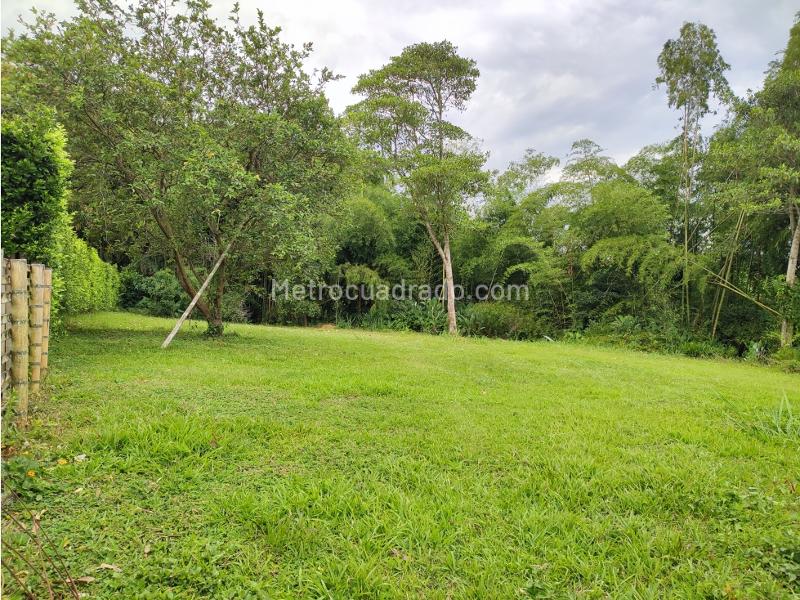 Lote en Venta, Combia, Pereira - Más