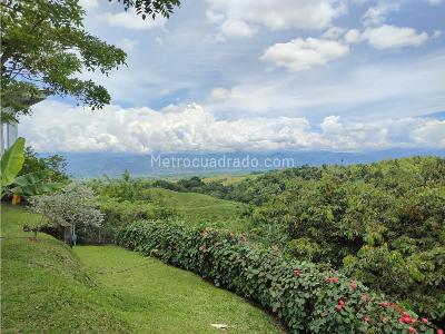 Casa en venta en Cerritos, Pereira · foto 5 de 20