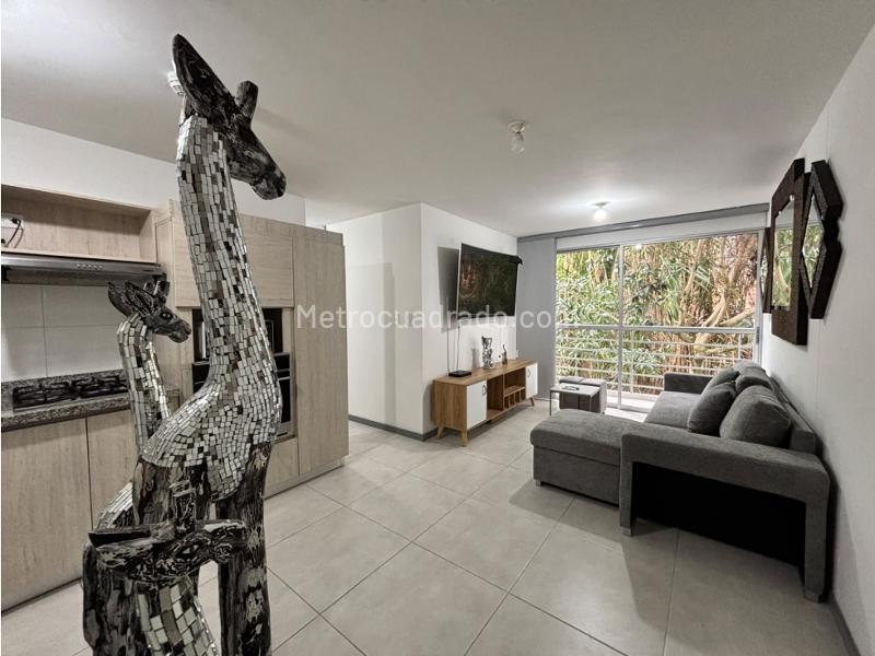 Piso – Pereira - Vista 4
