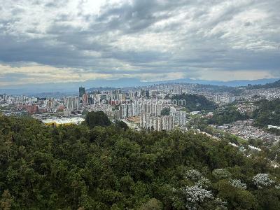 Apartaestudio en venta en Cerro De Oro, Manizales, 43 m² · foto 13 de 15