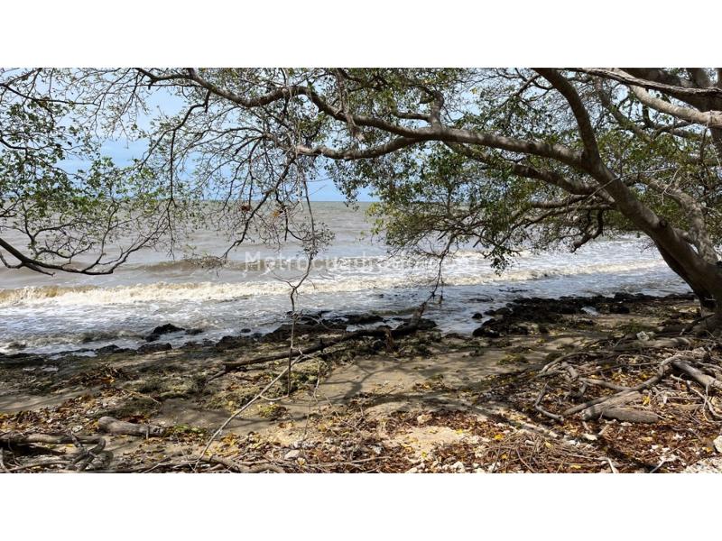 Lote en Venta, Isla De Baru, Cartagena de Indias - Vista 4