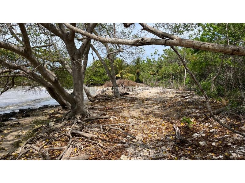 Lote en Venta, Isla De Baru, Cartagena de Indias - Vista 5
