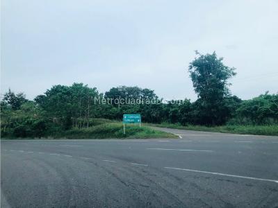 Lote en Venta, Via Mamonal Gambote, Cartagena de Indias