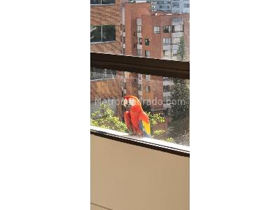 Apartamento de 4 alcobas en venta en El Poblado, Medellín, 256 m² · foto 14 de 20