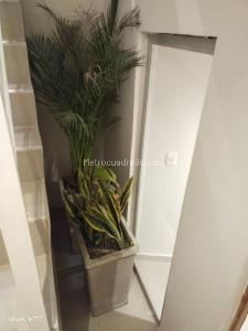 Casa de 5 alcobas en venta en El Centro, Cartagena, 530 m² · foto 2 de 20