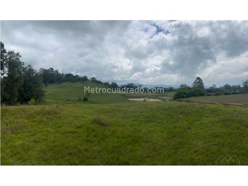 Lote en Venta, Rionegro, Rionegro - Más