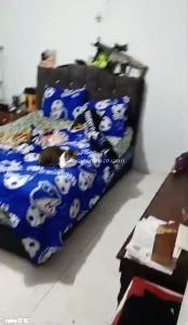 Casa de 5 alcobas en venta en Britalia, Bogotá, 570 m² · foto 11 de 19