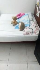Casa de 5 alcobas en venta en Britalia, Bogotá, 570 m² · foto 10 de 19