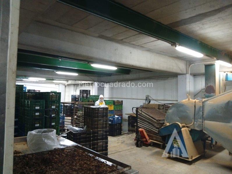 Bodega en Arriendo, Copacabana, Medellín - Vista 5