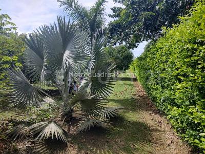 Casa de 5 alcobas en venta en Cond Horizontes Via Pto Lopez, Villavicencio · foto 20 de 20