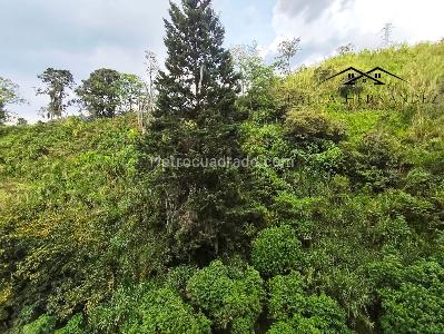 Apartamento en venta en El Salado, Envigado · foto 4 de 20