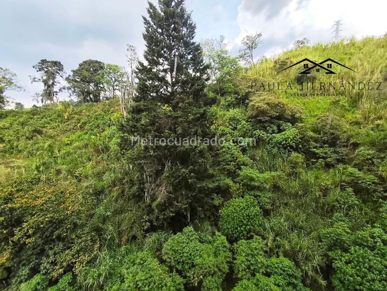 Piso – Envigado, Valle de Aburrá - Vista 5