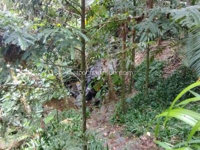 Apartaestudio en arriendo en Envigado, Envigado, 50 m² · foto 13 de 14