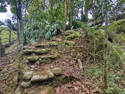 Apartaestudio en arriendo en Envigado, Envigado, 50 m² · foto 14 de 14