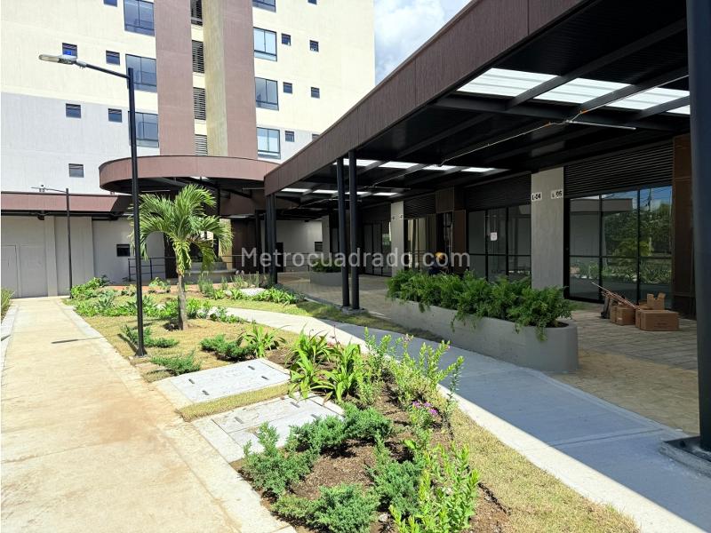 Local Comercial en Arriendo, La Macarena, Dosquebradas - Vista 3