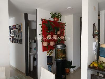 Apartamento de 3 alcobas en venta en La Samaria, Ibagué, 74 m² · foto 7 de 15