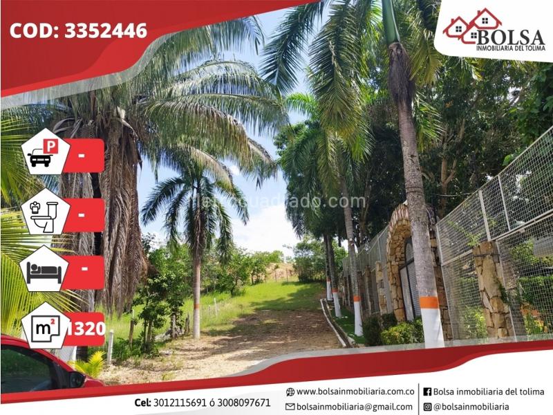 Lote en Venta, Carmen De Apicala, Ibagué - Vista 2