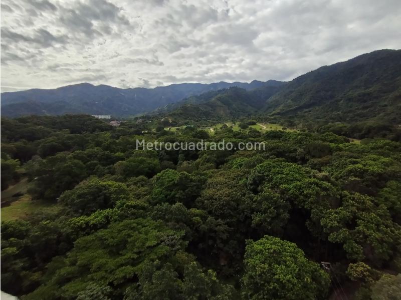 Piso – Ibagué - Vista 4