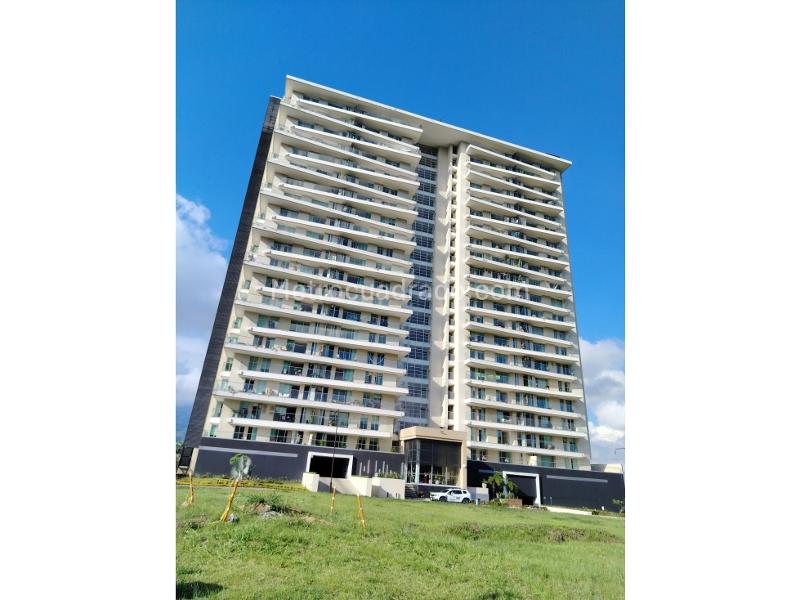 Piso – Ibagué, Comuna 9 - Picaleña-Mirolindo - Vista 2